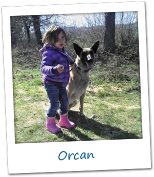 Orcan