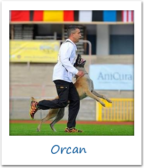 Orcan